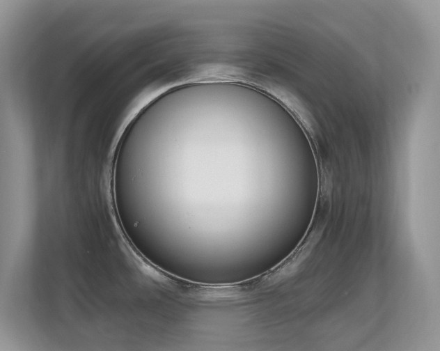 X0000110731486200906121438