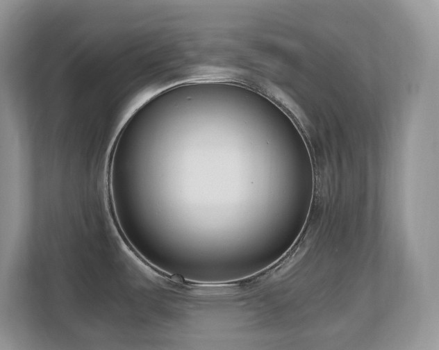 X0000110731487200906121438