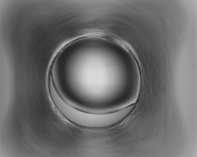 X0000110731488200906121438