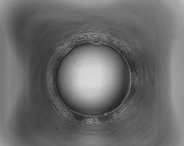 X0000110731489200906121437