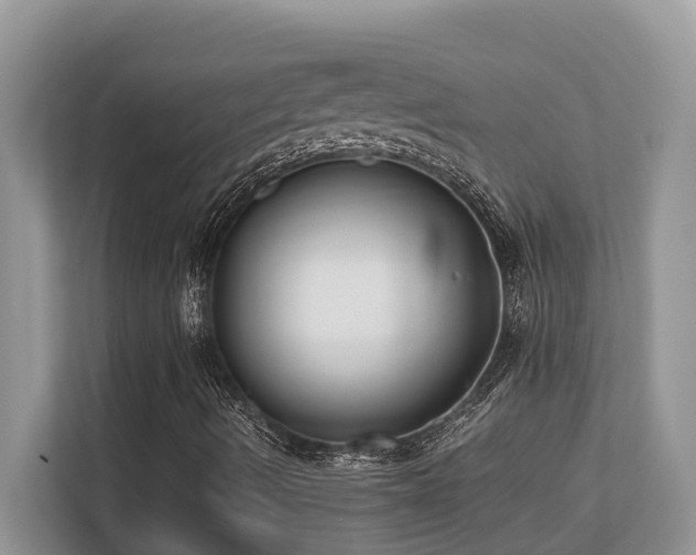 X0000110731490200906121437