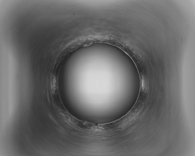 X0000110731492200906121437