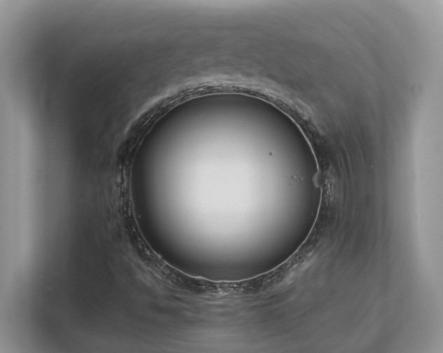 X0000110731494200906121437