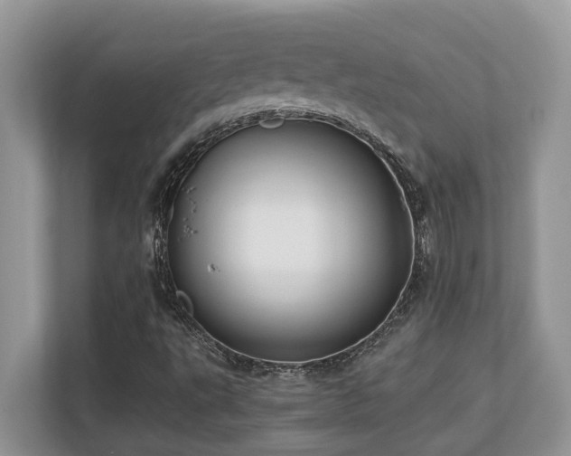 X0000110731495200906121437