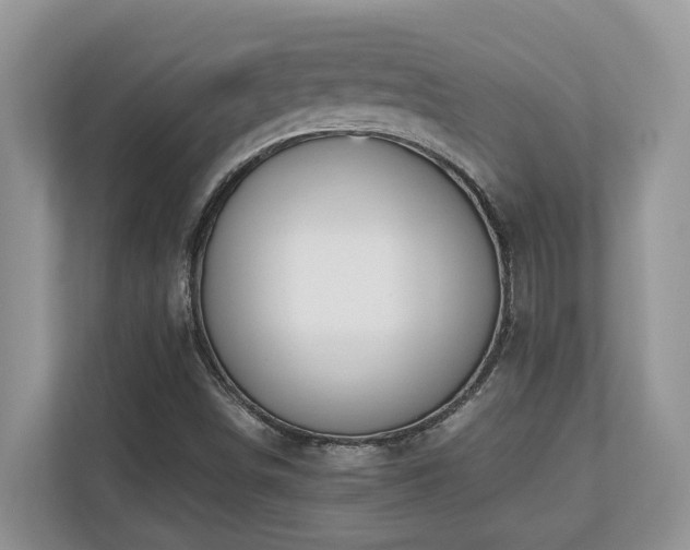 X0000110731498200906121437