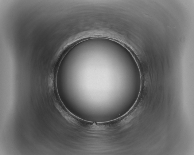 X0000110731499200906121438
