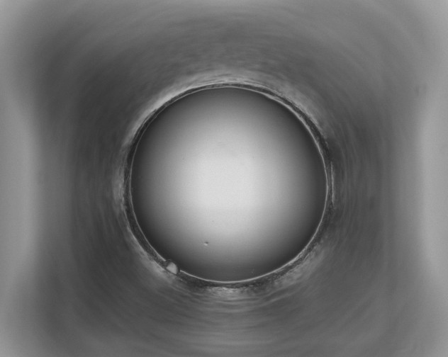 X0000110731500200906121438