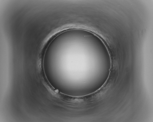 X0000110731503200906121438