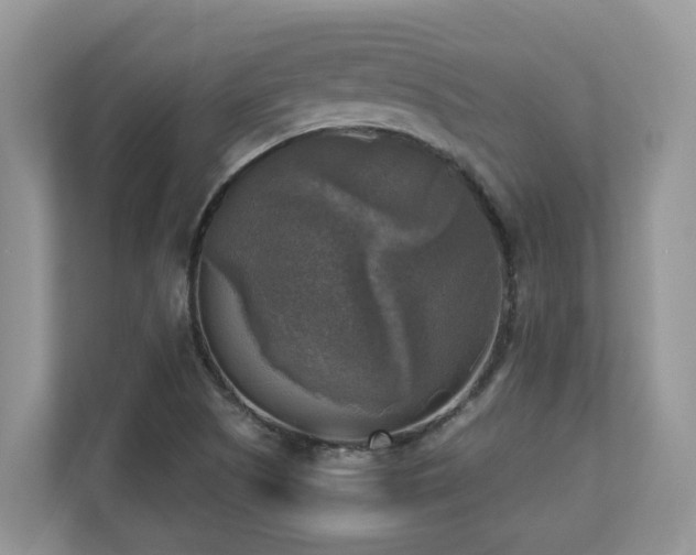X0000110731505200906121438