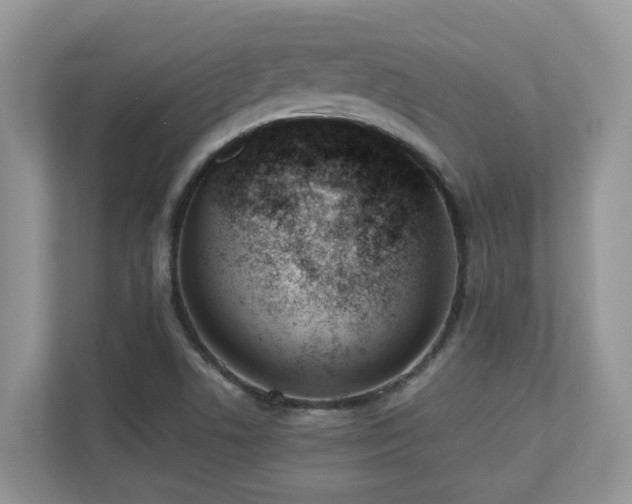 X0000110731506200906121438