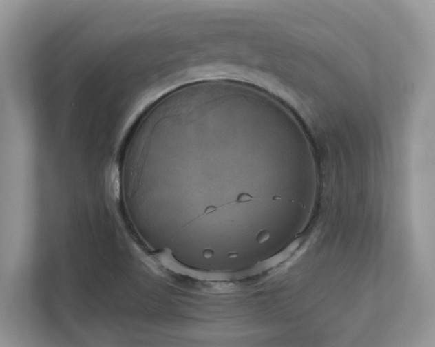 X0000110731509200906121438