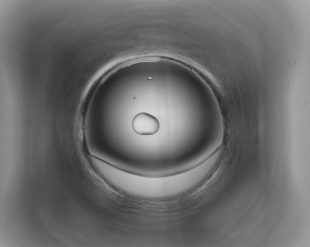 X0000110731510200906121438
