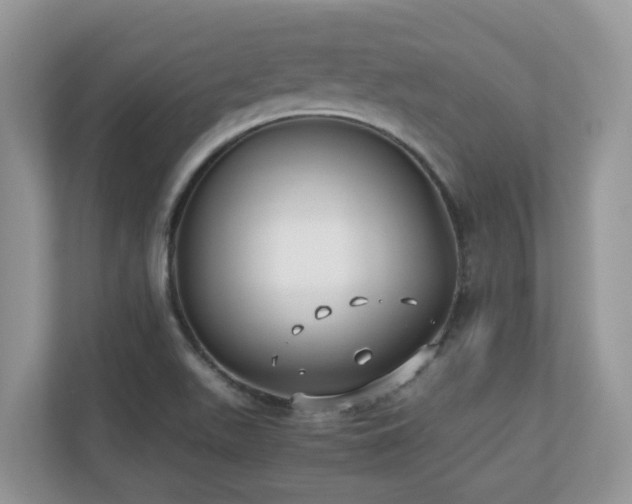 X0000110731511200906121438