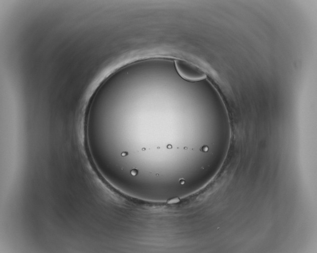 X0000110731512200906121438