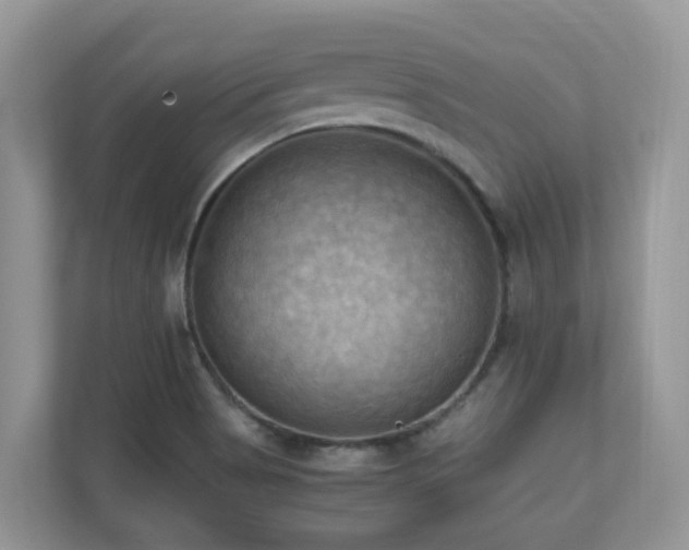 X0000110731513200906121438