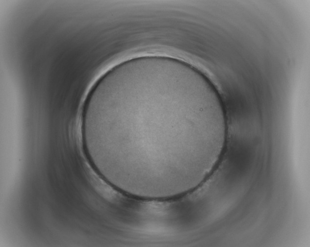 X0000110731514200906121438