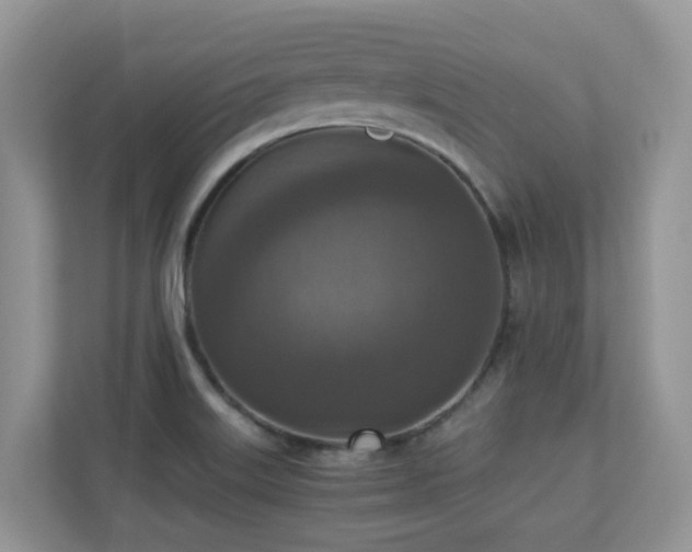 X0000110731515200906121438