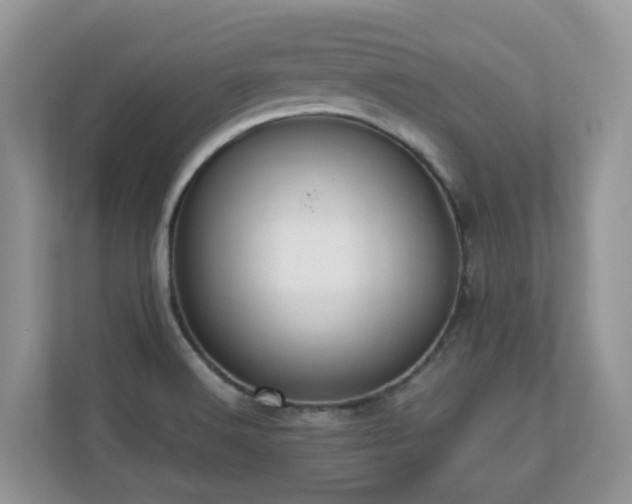 X0000110731516200906121438
