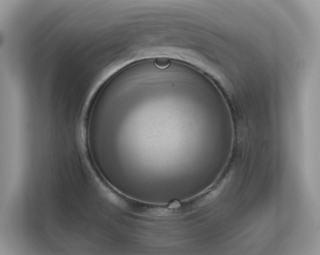 X0000110731517200906121438