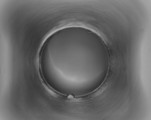 X0000110731519200906121438