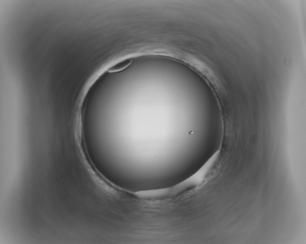 X0000110731520200906121438