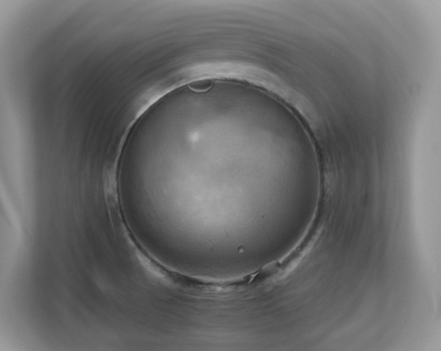 X0000110731521200906121438