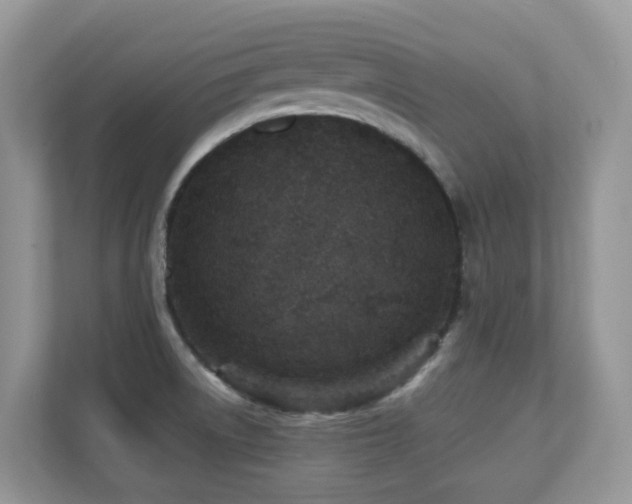 X0000110731522200906121438