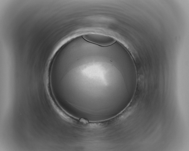 X0000110731523200906121438