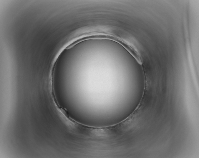 X0000110731524200906121438