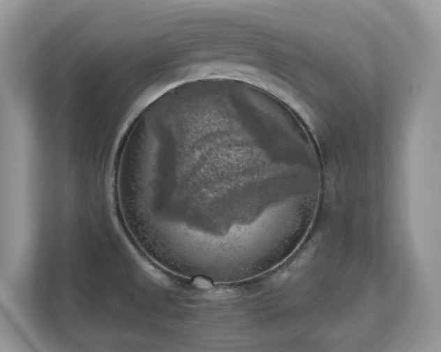 X0000110731525200906121438