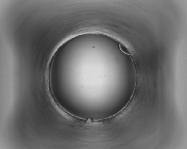 X0000110731526200906121438