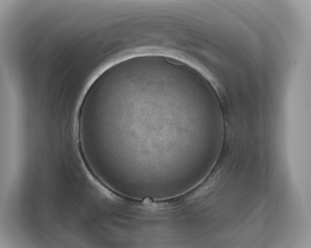 X0000110731527200906121438
