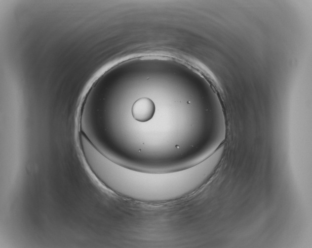 X0000110731528200906121438