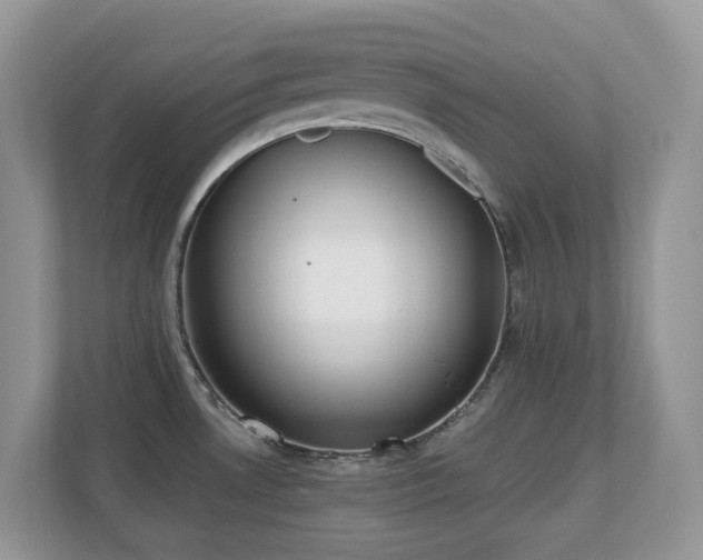 X0000110731530200906121438