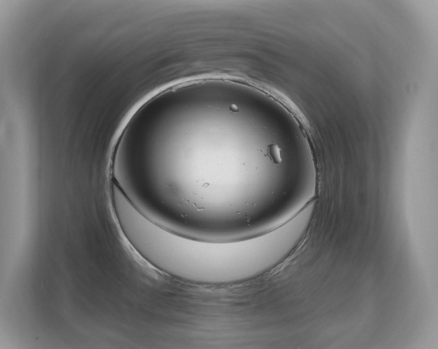X0000110731532200906121438