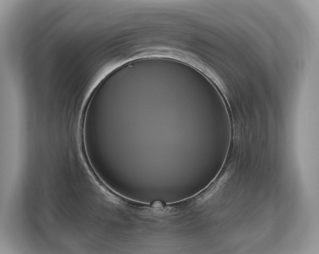 X0000110731533200906121438