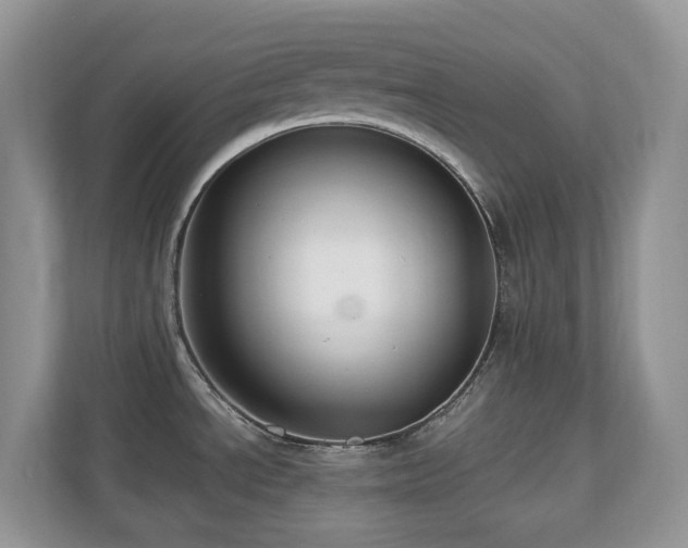 X0000110731534200906121438