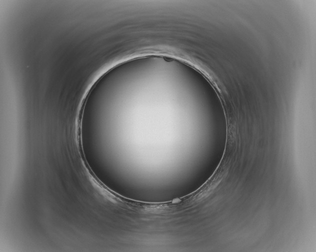 X0000110731535200906121438