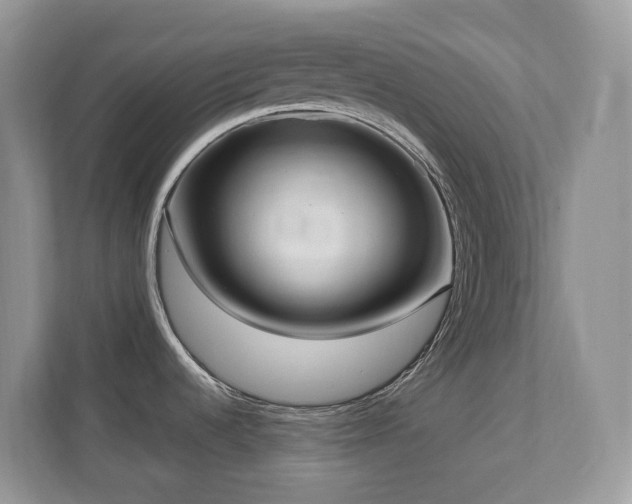 X0000110731536200906121438