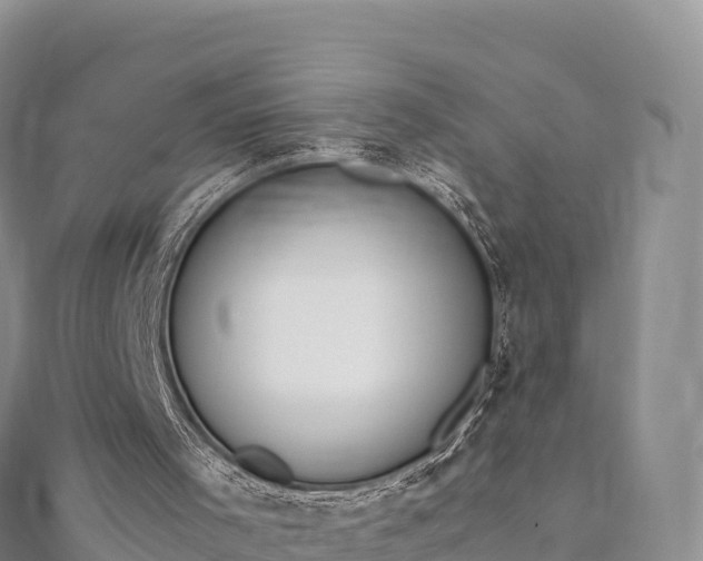 X0000110730001200906191535