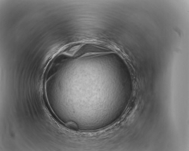 X0000110730002200906191535