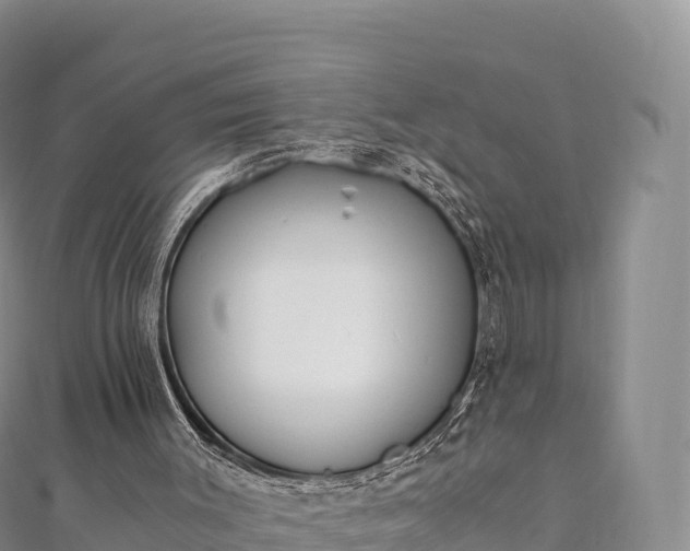 X0000110730003200906191535