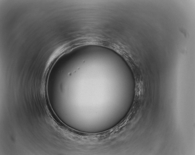 X0000110730004200906191535