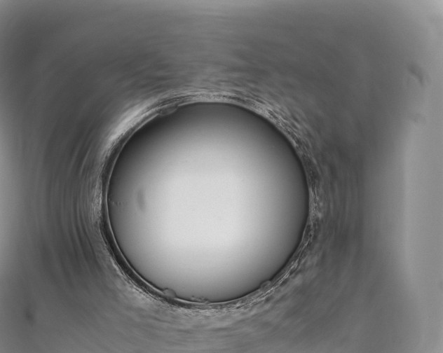 X0000110730005200906191535