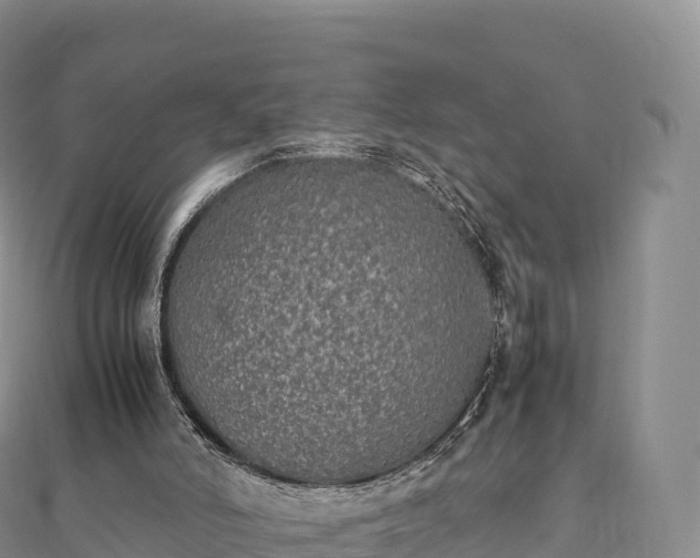 X0000110730006200906191535