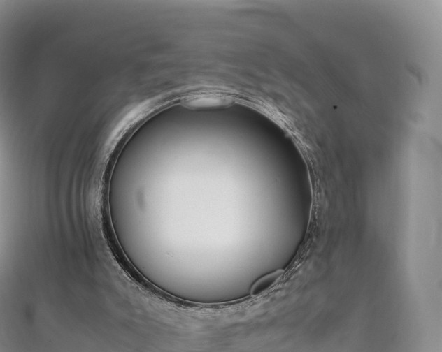 X0000110730007200906191535