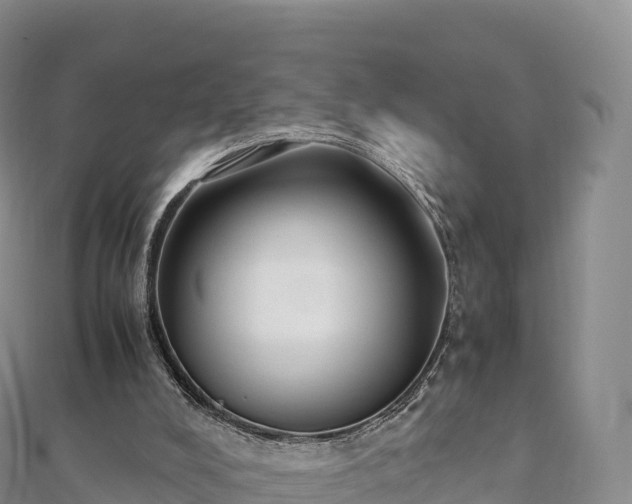 X0000110730008200906191535