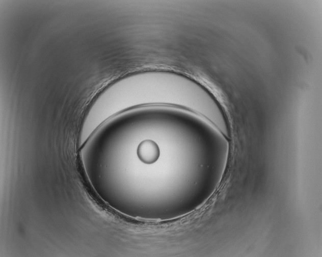 X0000110730009200906191535