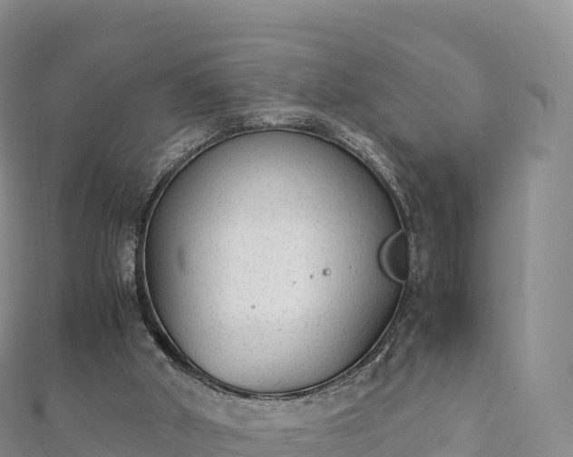 X0000110730010200906191535