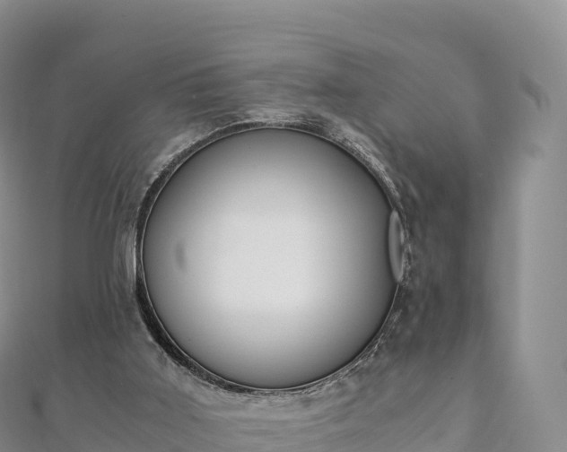 X0000110730011200906191535